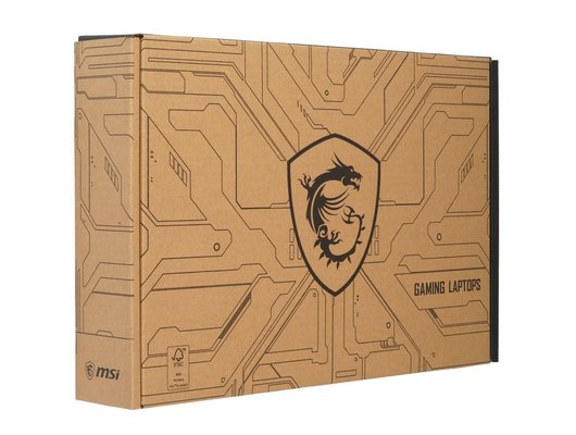 Ноутбук игровой MSI Thin 15 B2RVE-3450XRU/9S7-16R831-3450/Core i5-210H/16Gb/512Gb/15.6 FHD IPS/RTX4050 6Gb/DOS серый